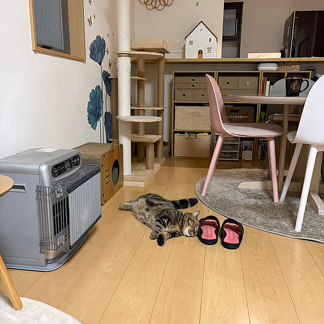 chiiさんのお部屋の写真