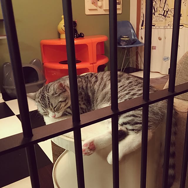Shojiさんの実例写真