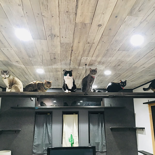 terrainさんの実例写真