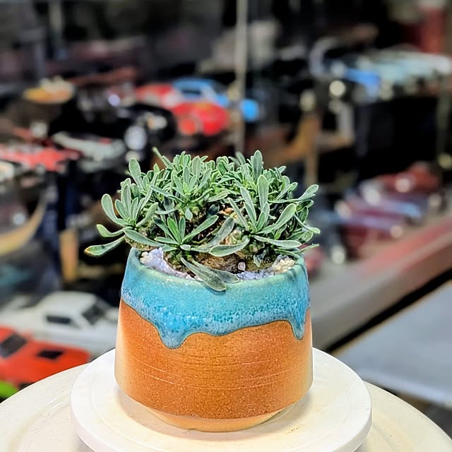 ot-gardenさんの部屋