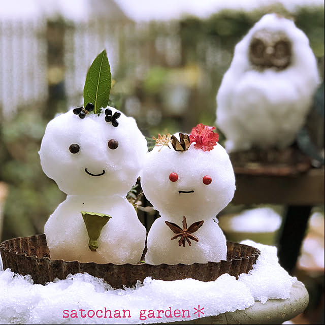 satochanさんの実例写真