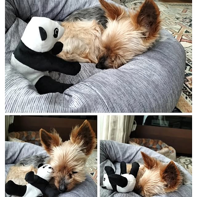 coco0.84.さんの部屋