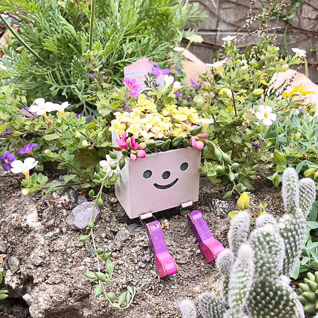 tararaさんの実例写真