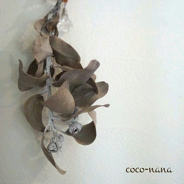 coconana165さんの実例写真