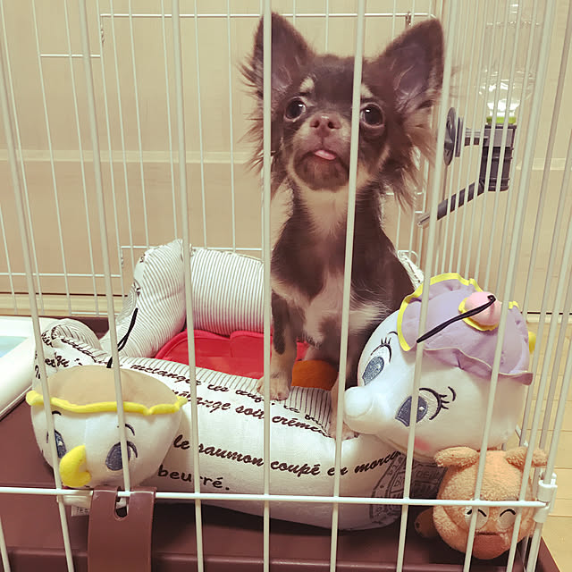 R3さんの実例写真