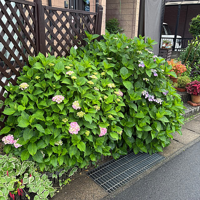 ritsukoさんの部屋