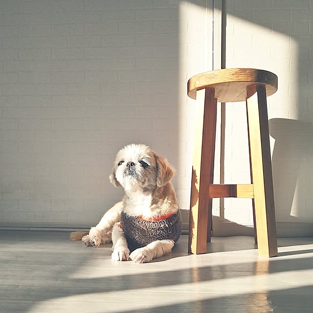 yukagomaさんの実例写真