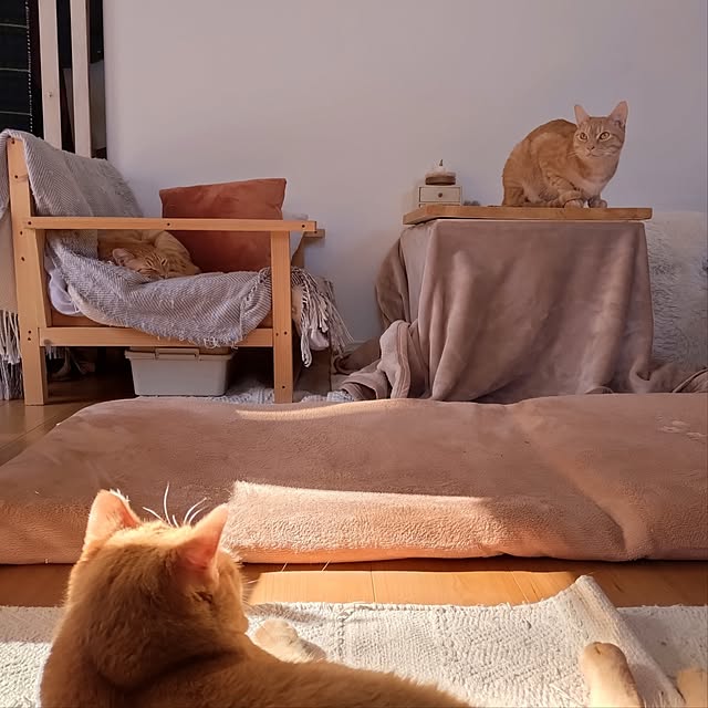 mayutan.さんの部屋