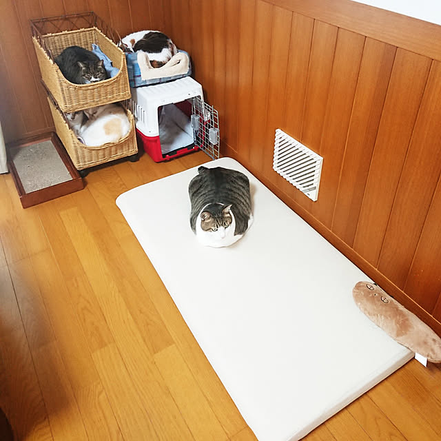 nachiさんの実例写真