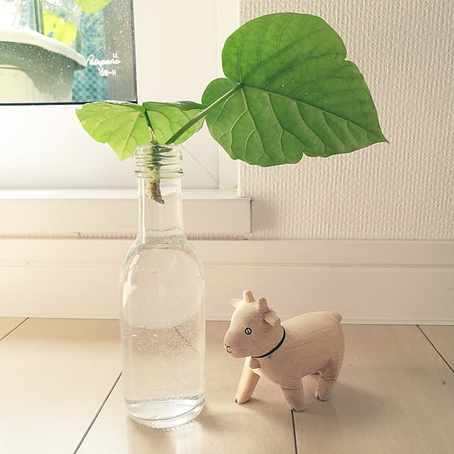 moominさんの実例写真