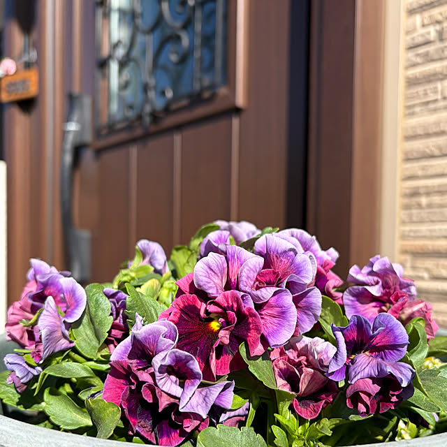 ronronさんの部屋