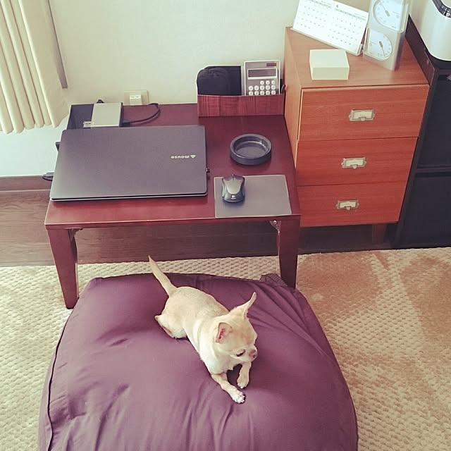shirogomaさんの実例写真