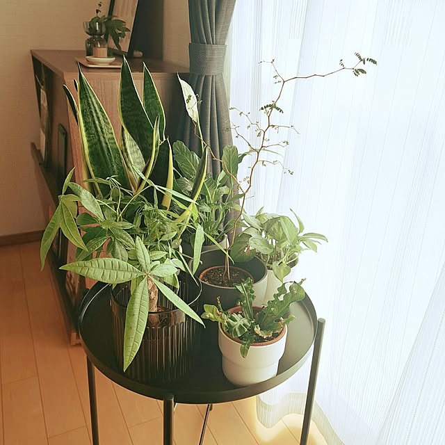 toro_roomさんの実例写真