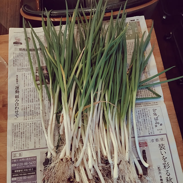 moccyan555さんの実例写真