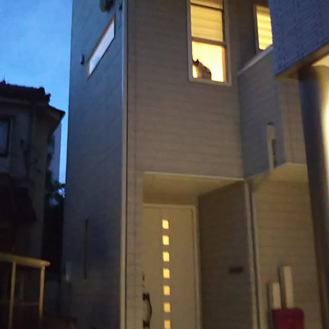 Sakasanさんの実例写真