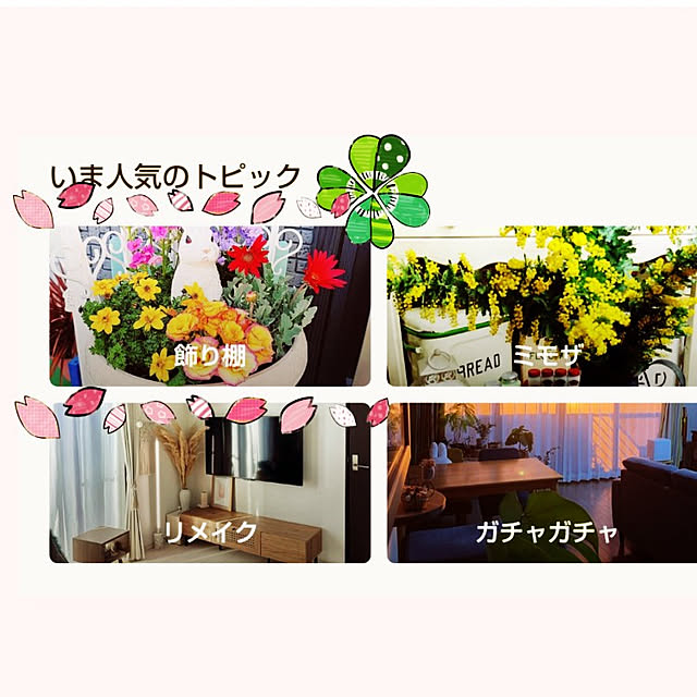 Miyumamaさんの実例写真