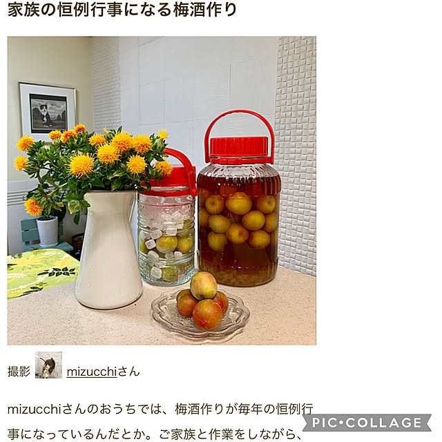 mizucchiさんの実例写真