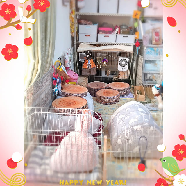 mariaさんの実例写真