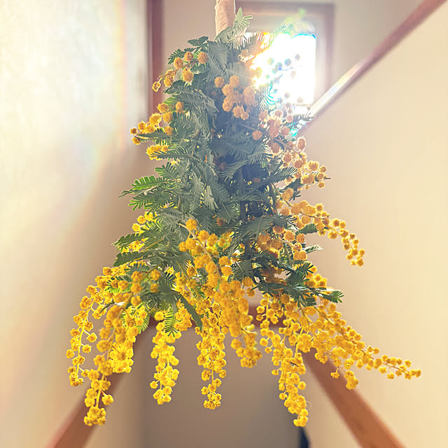 yukkoさんの実例写真