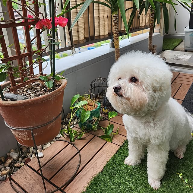 takoさんの実例写真