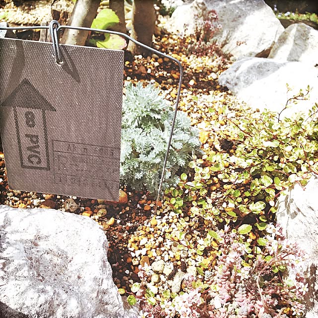 oldwoodさんの実例写真
