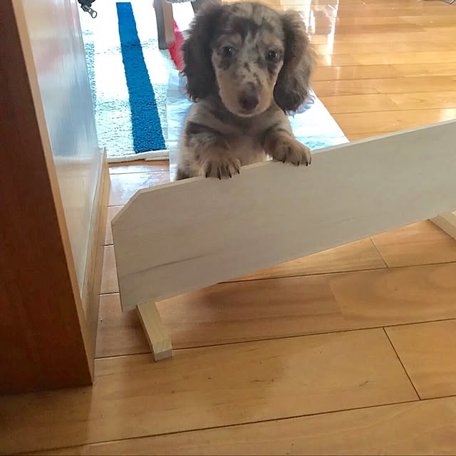 yykoさんの実例写真