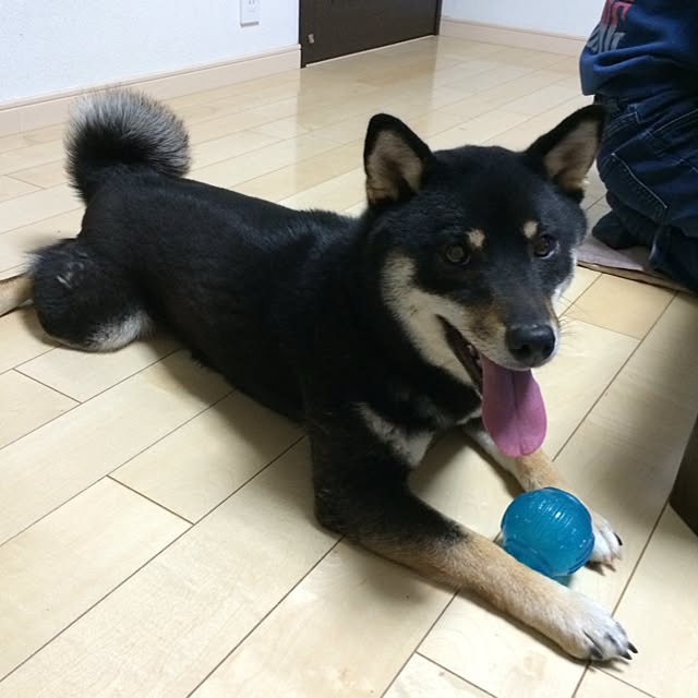 02564さんの実例写真