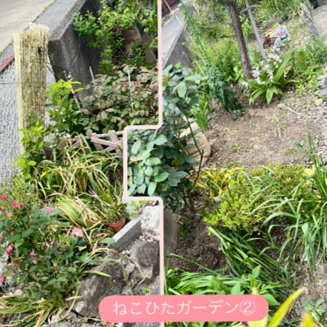 SIELUさんの部屋