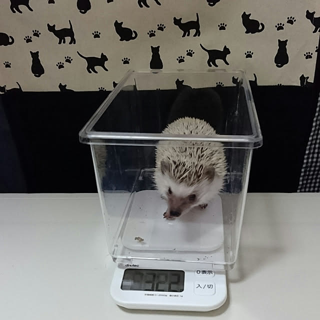 Reikomさんの実例写真
