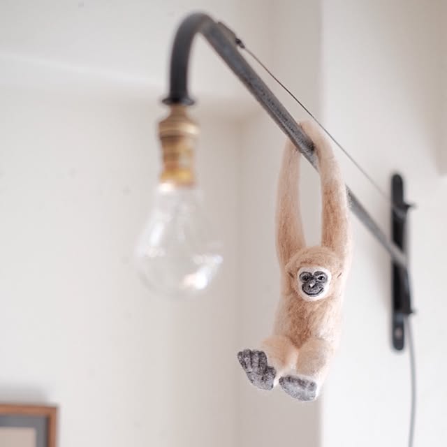 taka55さんの実例写真