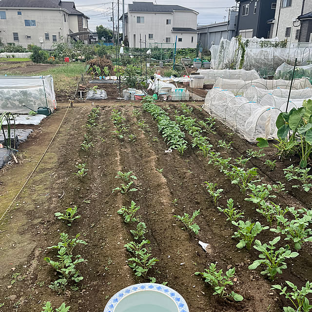 EMIKOさんの実例写真