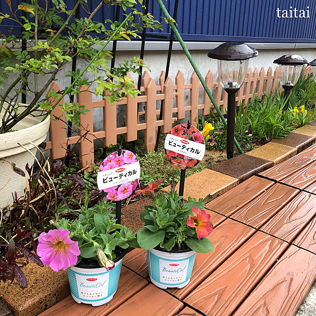 taitaiさんの実例写真