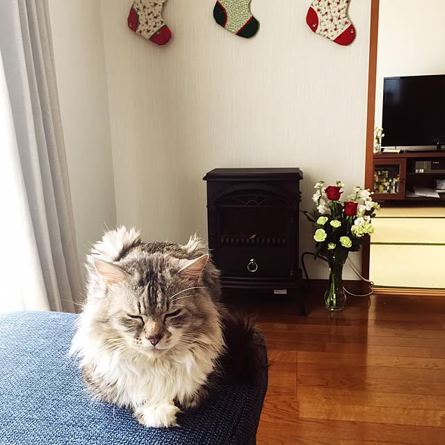実例写真
