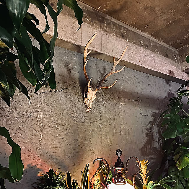 zakitsumaさんの実例写真