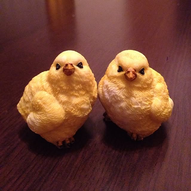 ginさんの実例写真