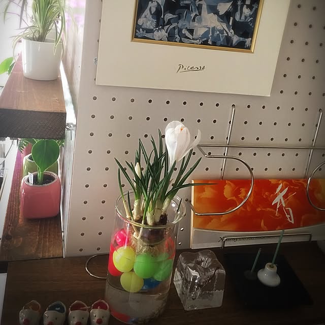 Satoshiさんの実例写真