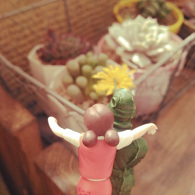 akr29さんの実例写真