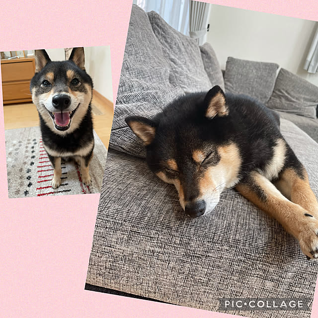 YUKOさんの実例写真
