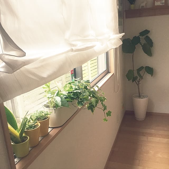 macocoさんの実例写真