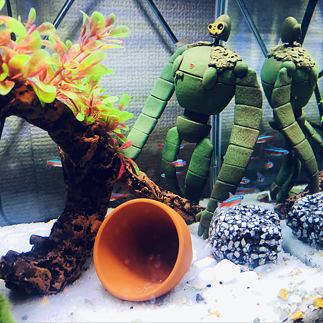 kosukeさんの実例写真