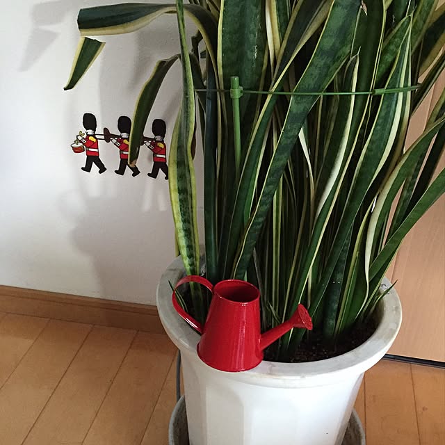 SZKさんの実例写真
