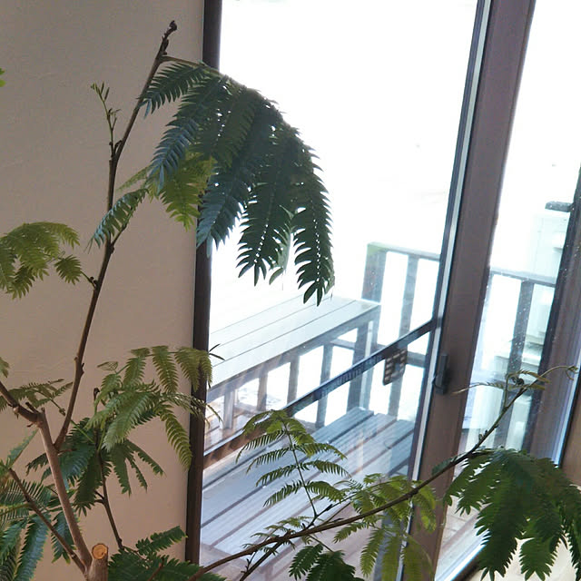 Mina.さんの実例写真