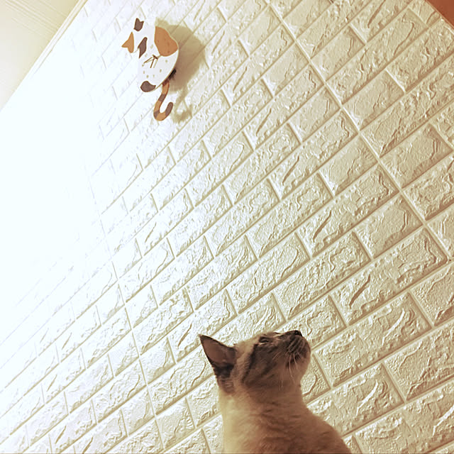 harubongさんの実例写真