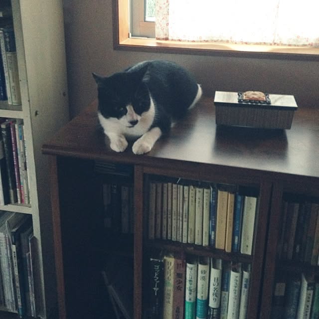 utataneさんの実例写真