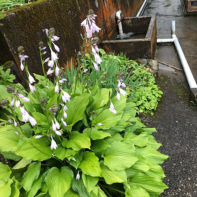 aoinokimiさんの部屋