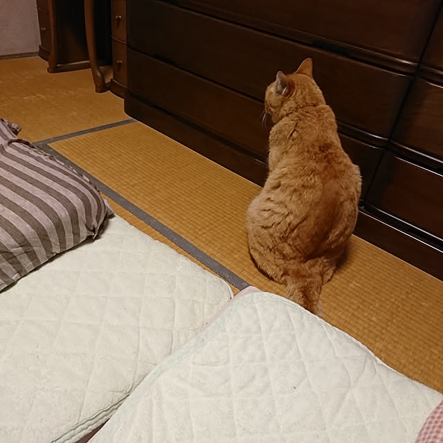 keiさんの実例写真