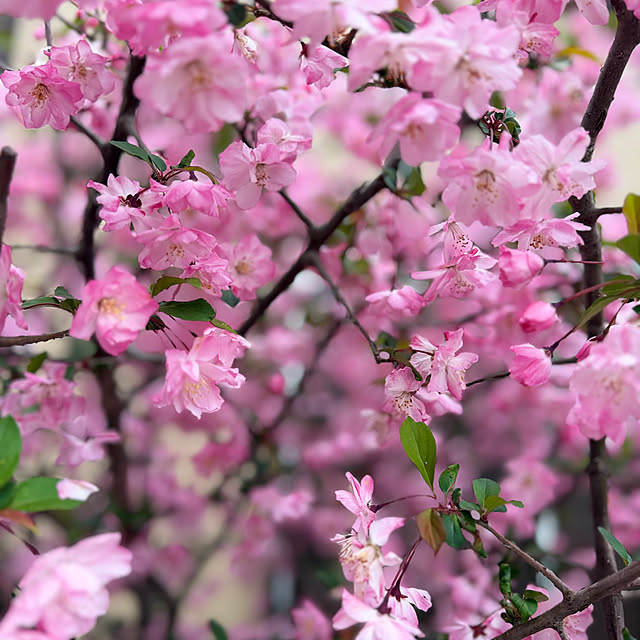 nuruiさんの部屋