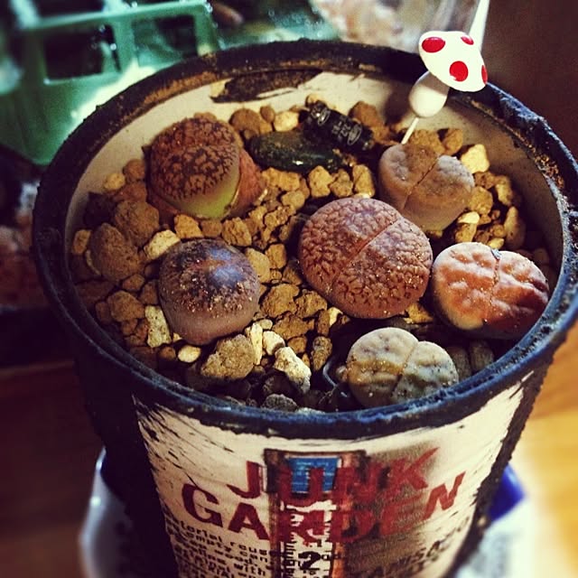 Nanakoさんの実例写真