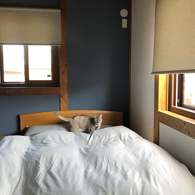 PU930さんの実例写真