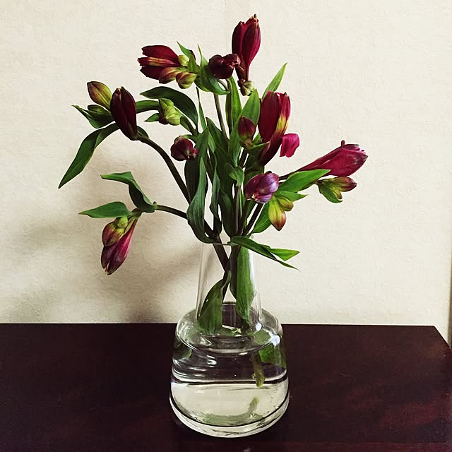 maru_a_gogoさんの実例写真